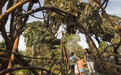 Seven Ways To Have Fun In Pandora – The World of Avatar (Aside From Attractions)