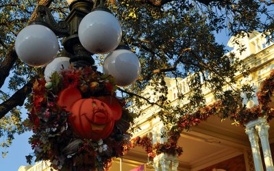 Our Five Favorite Things About Autumn at Walt Disney World