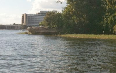 Nine Facts About Discovery Island