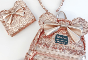 Disney Rose Gold Backpack and Wallet