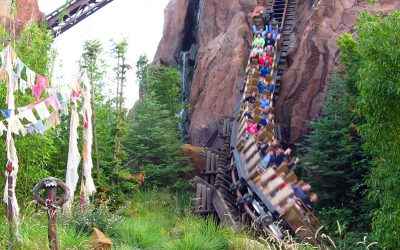 Six Things You May Not Know About Expedition Everest