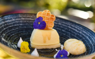 Tasty Treats at the Flower and Garden Festival