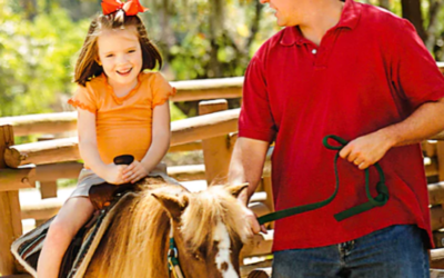 Adventures at the Tri-Circle D Ranch