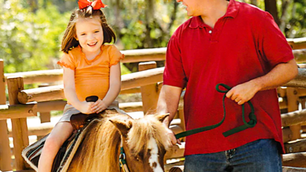 Adventures at the Tri-Circle D Ranch