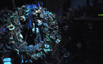 Five Small (But Spooky!) Things I Love About the Haunted Mansion