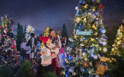 The Disney Springs Christmas Tree Trail