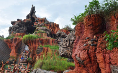 Five Things You May Not Know About Splash Mountain