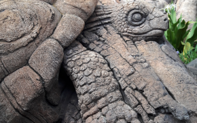 The Hidden Treasures of Animal Kingdom