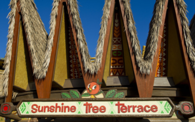 Getting to Know Orange Bird
