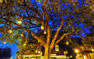 A Trip to Liberty Square
