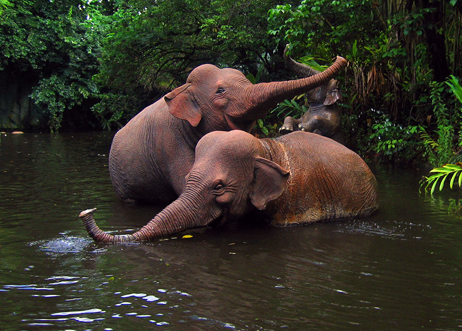 Jungle Cruise Elephant