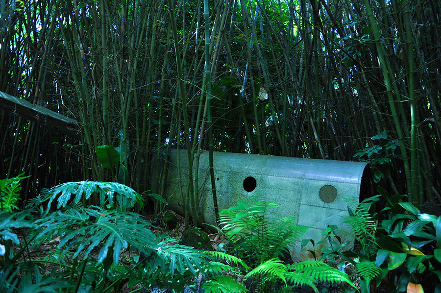 Jungle Cruise Casablanca Plane