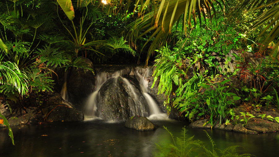 Polynesian Village Resort