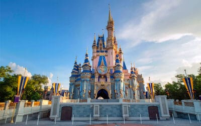 50 Years of Magic