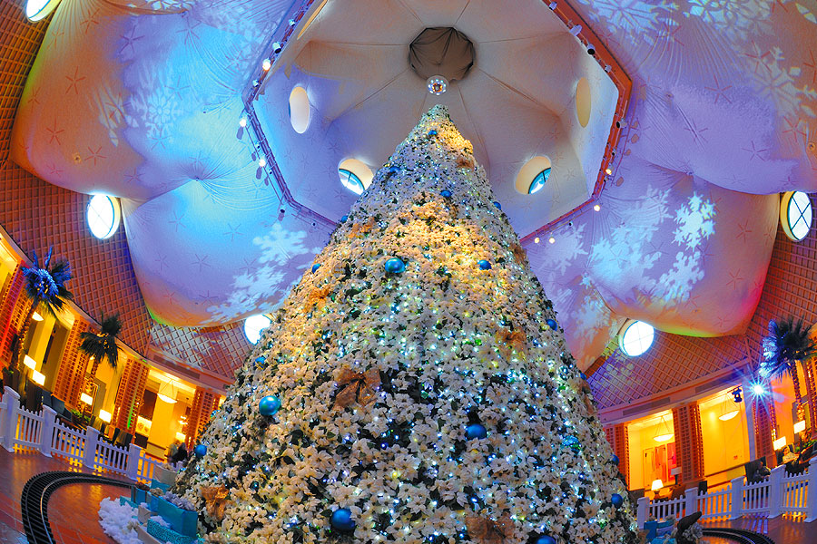 The Dolphin poinsettia Christmas tree
