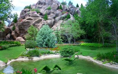 The Gardens and Flowers of Walt Disney World