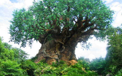 10 Things You May Now Know About the Tree of Life